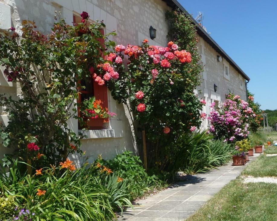 La Maison Des Fleurs Saint-Senoch エクステリア 写真